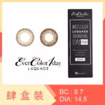 EverColor 1 Day Luquage 30 Pack (4 Boxes)