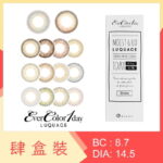 EverColor 1 Day Luquage 10 Pack (4 Boxes)