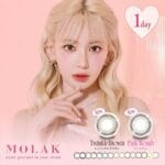 Molak 1 Day 10 Pack