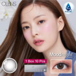 Olens Mood Night 1 Day Mood Gray 10 Pack