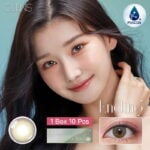 Olens Ending 1 Day Olive 10 Pack